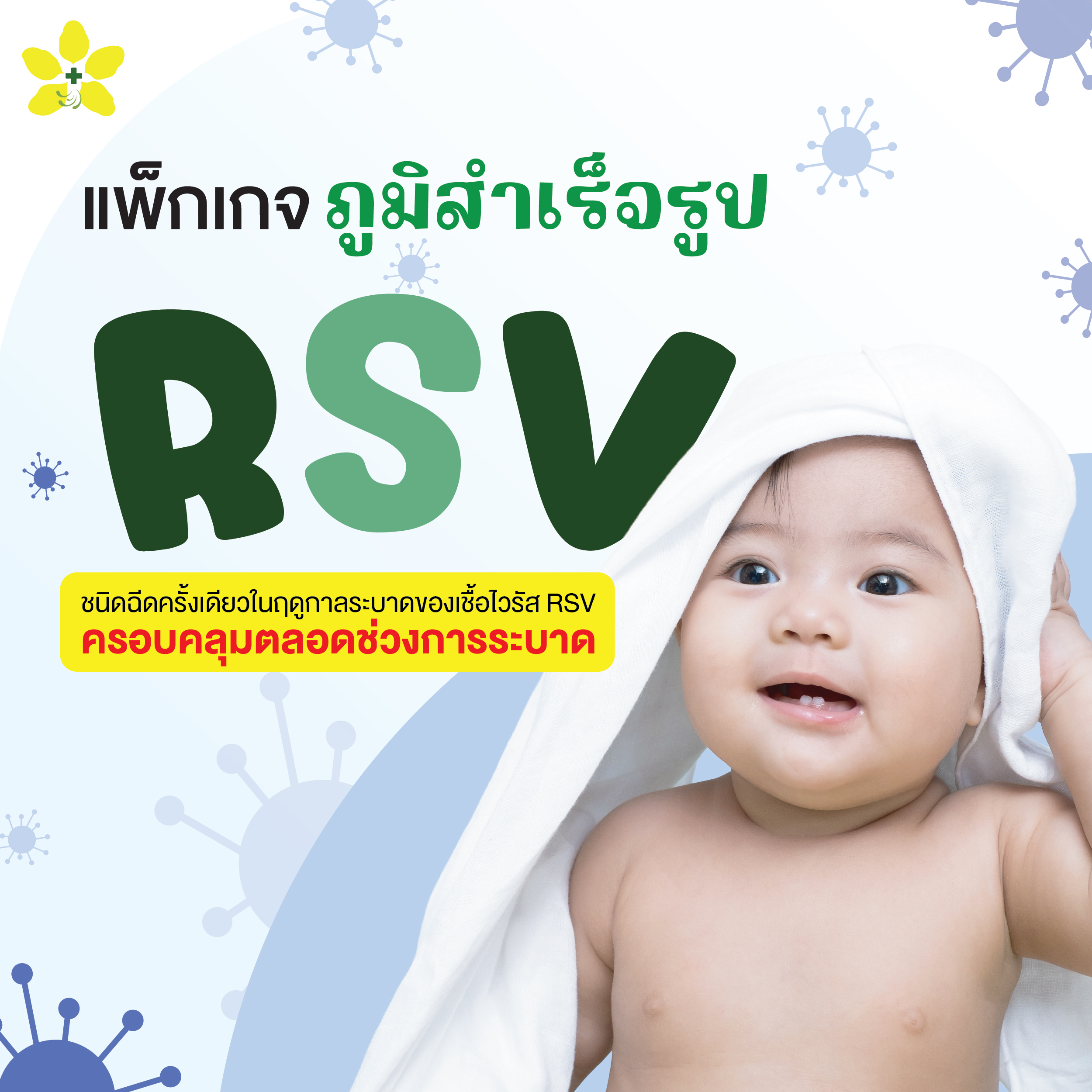 แพ็กเกจภูมิสำเร็จรูป RSV
