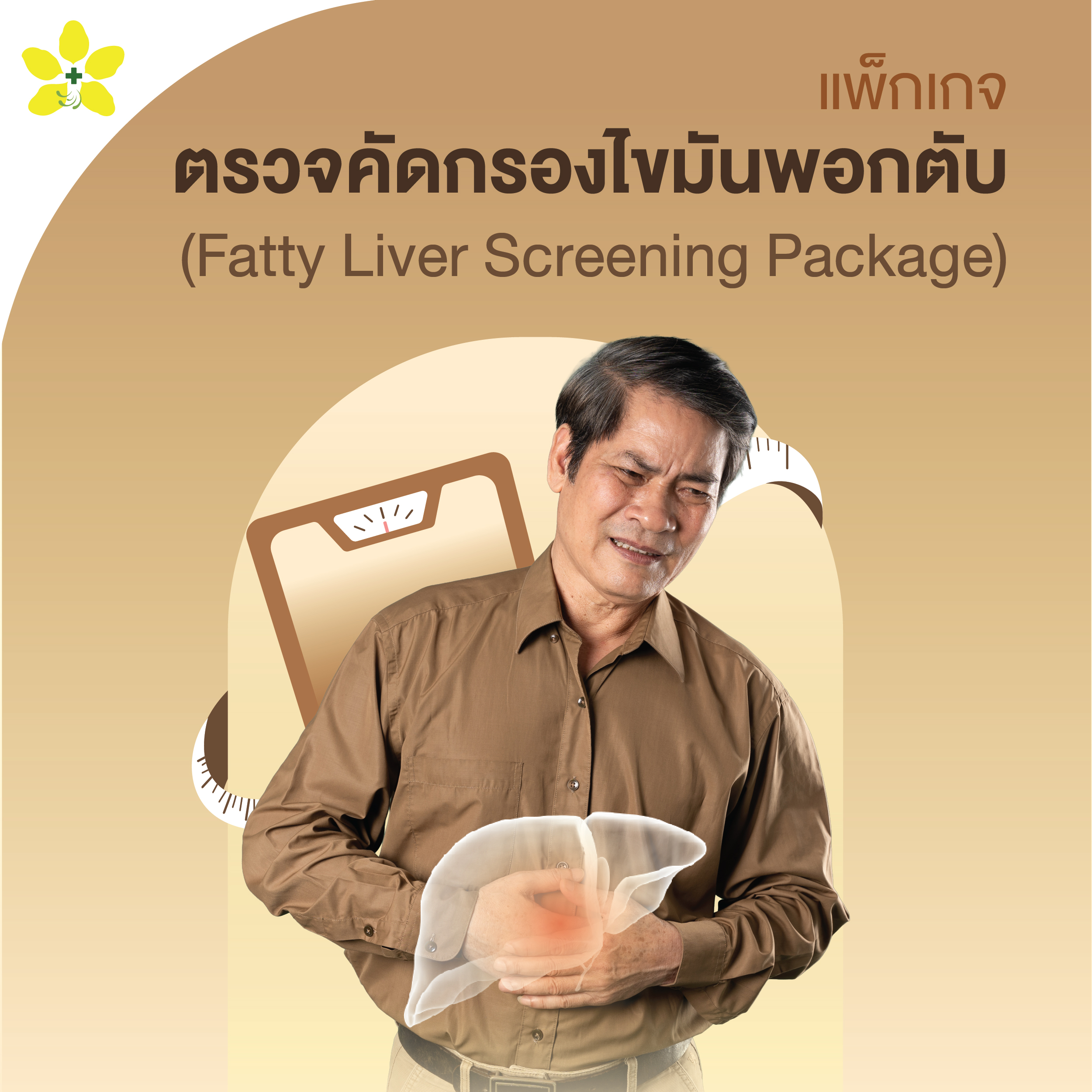 แพ็กเกจตรวจคัดกรองไขมันพอกตับ(Fatty Liver Screening Package)
